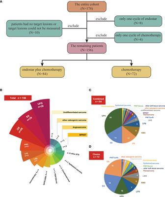 Chemotherapy Combined With Recombinant Human Endostatin (Endostar) Significantly Improves the Progression-Free Survival of Stage IV Soft Tissue Sarcomas